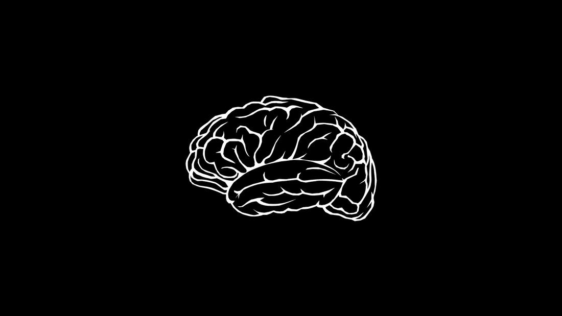 Reduced Inputs Reveal an Old Friend