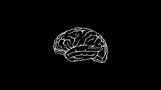 Reduced Inputs Reveal an Old Friend